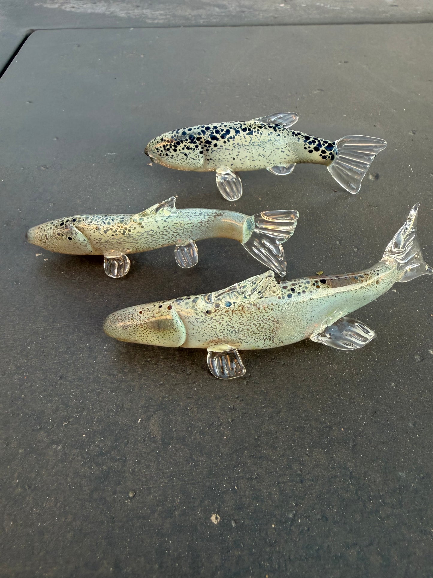 Glass Fish