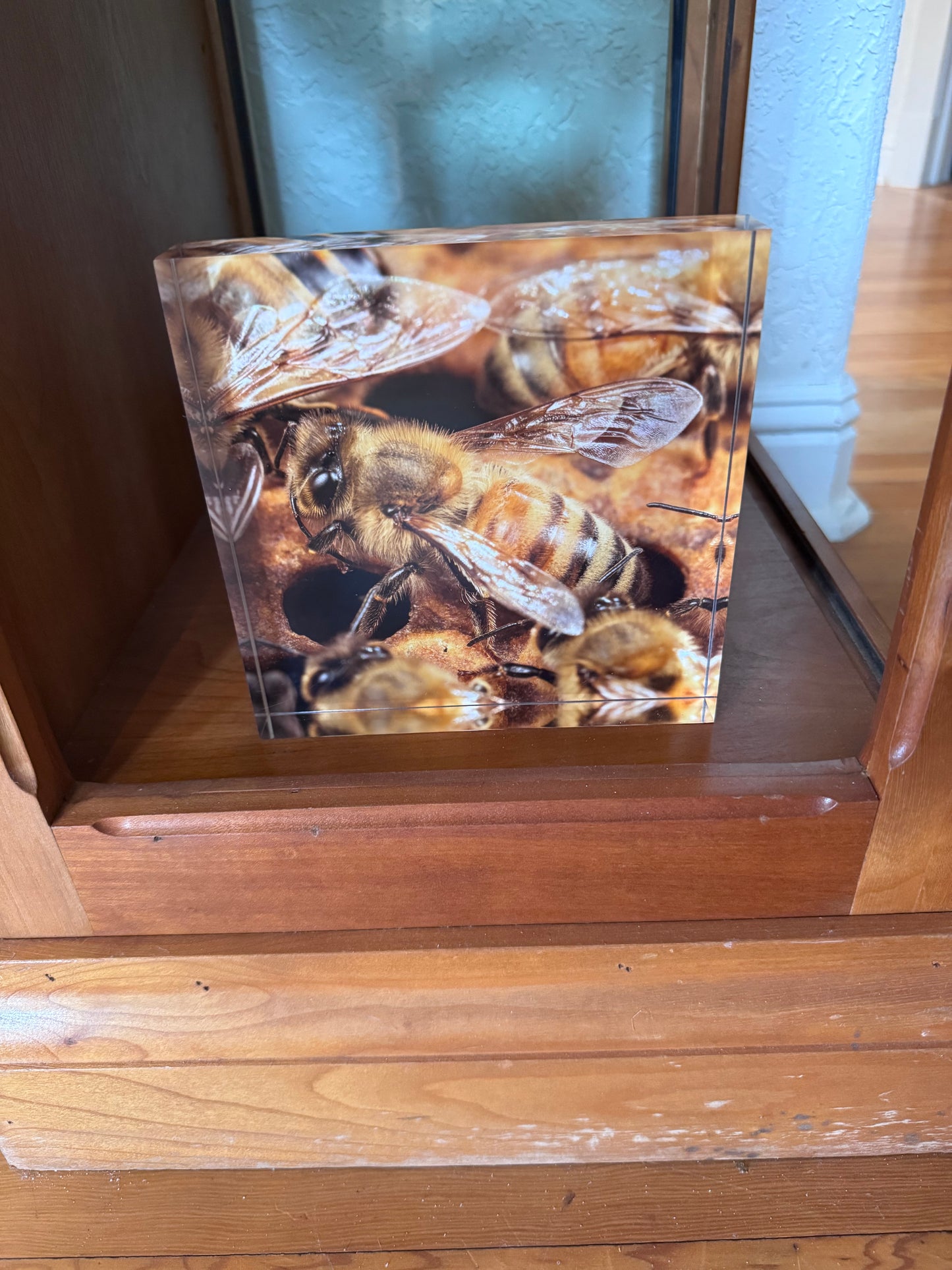 Bees