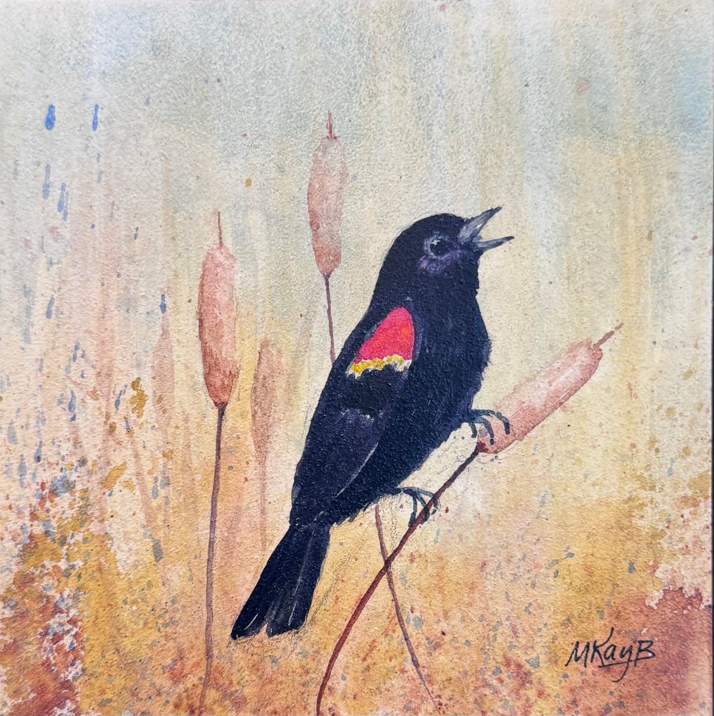 Red-Winged Blackbird