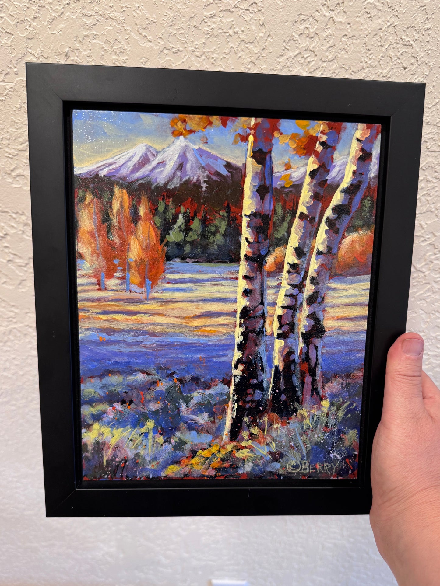 Shadow Land (Black Butte Ranch)