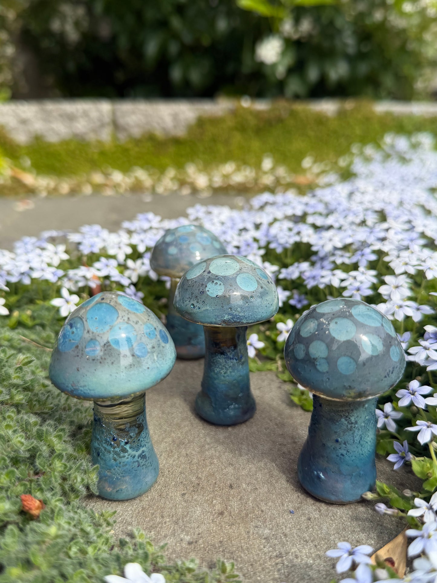 Button Mushroom