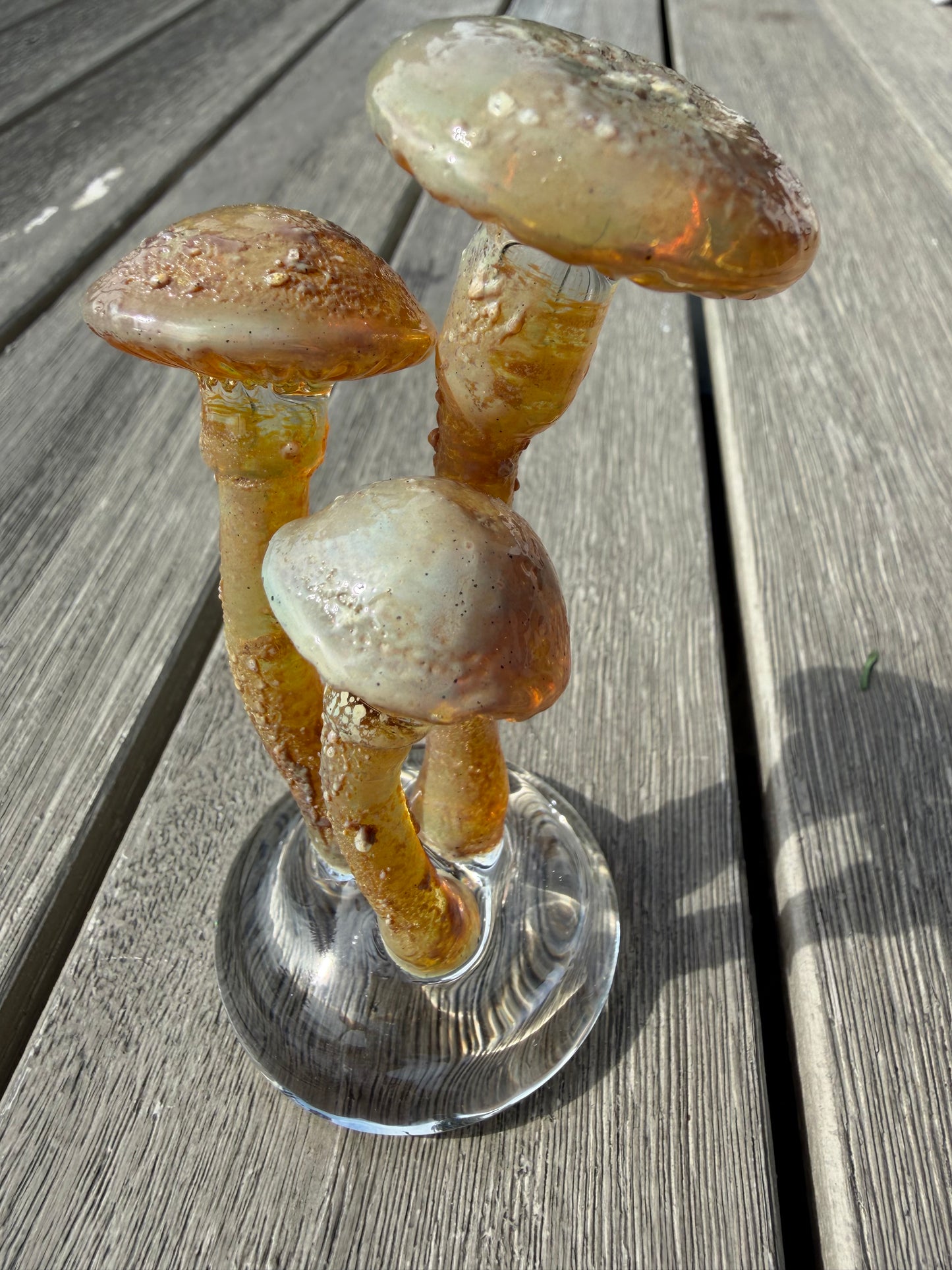 3 Mushroom on a Dome