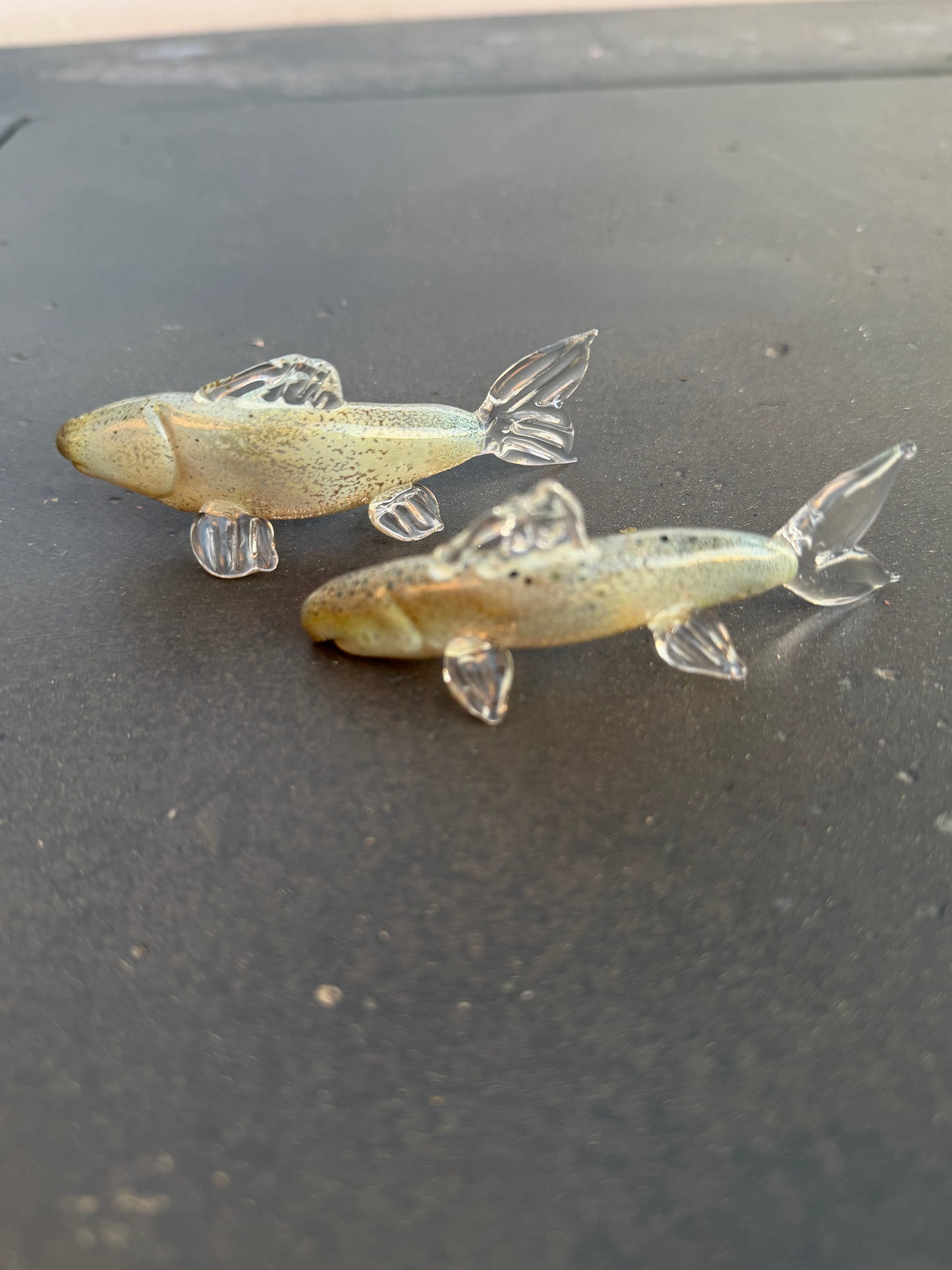 Glass Fish
