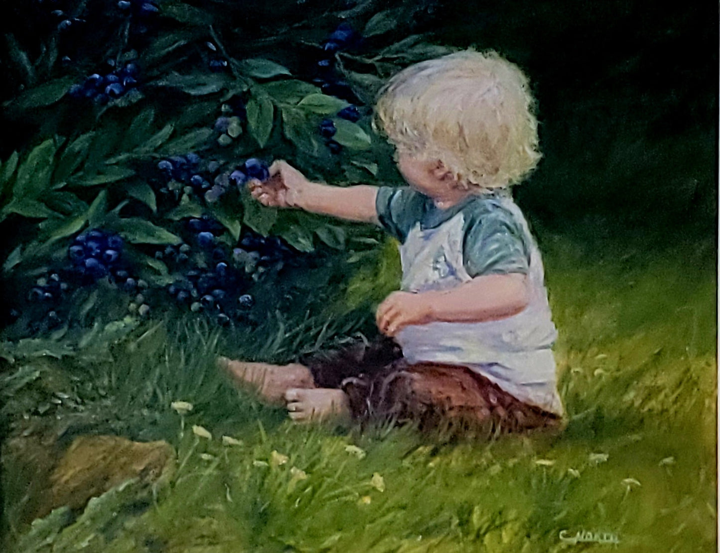 Blueberry Baby