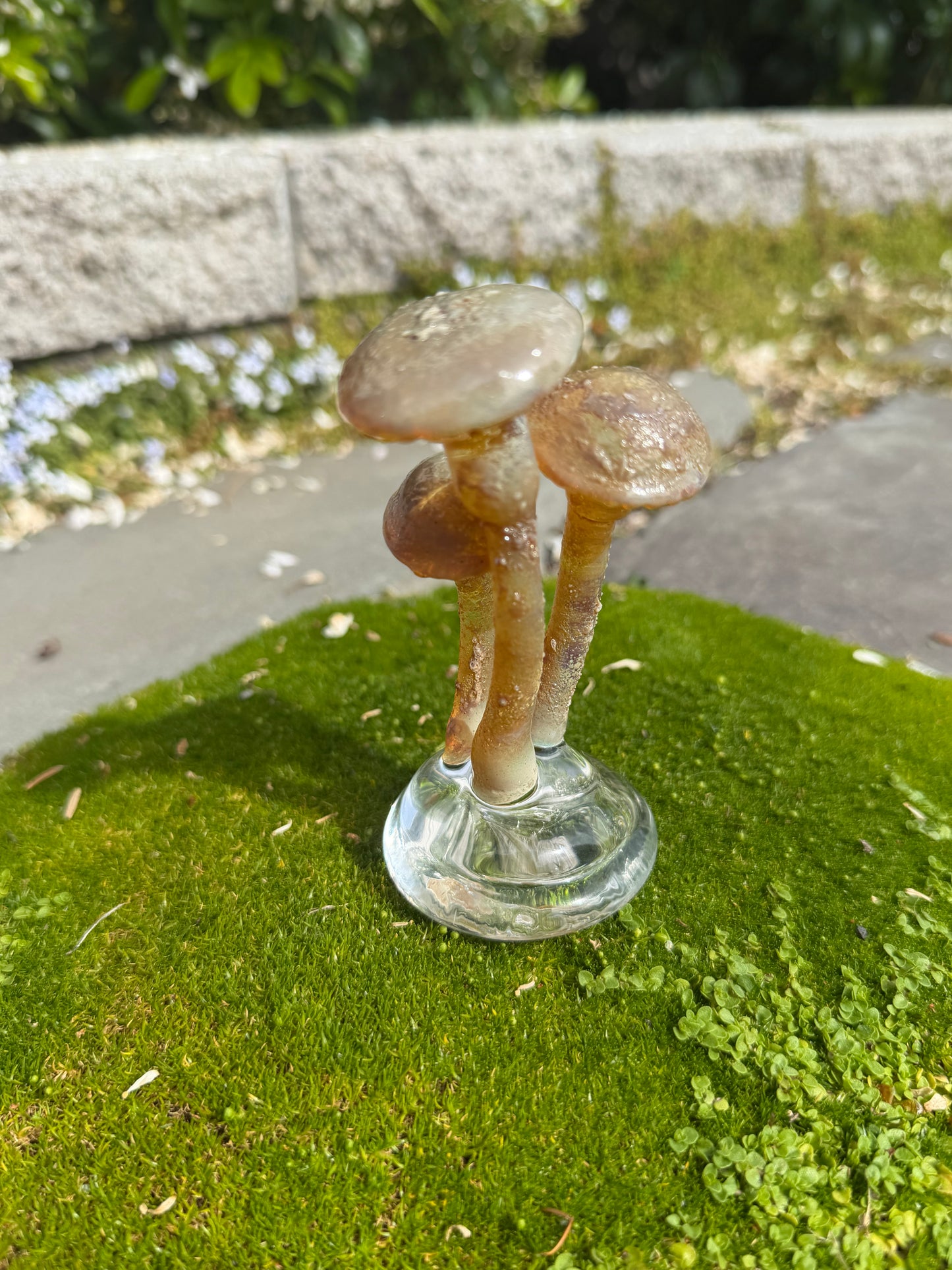 3 Mushroom on a Dome