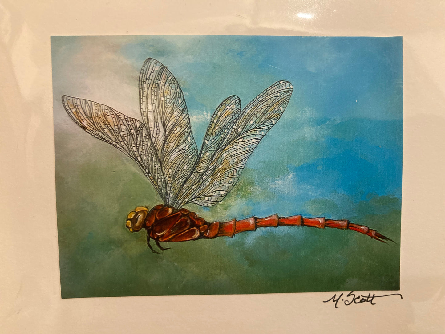 Marji Scott Greeting Cards