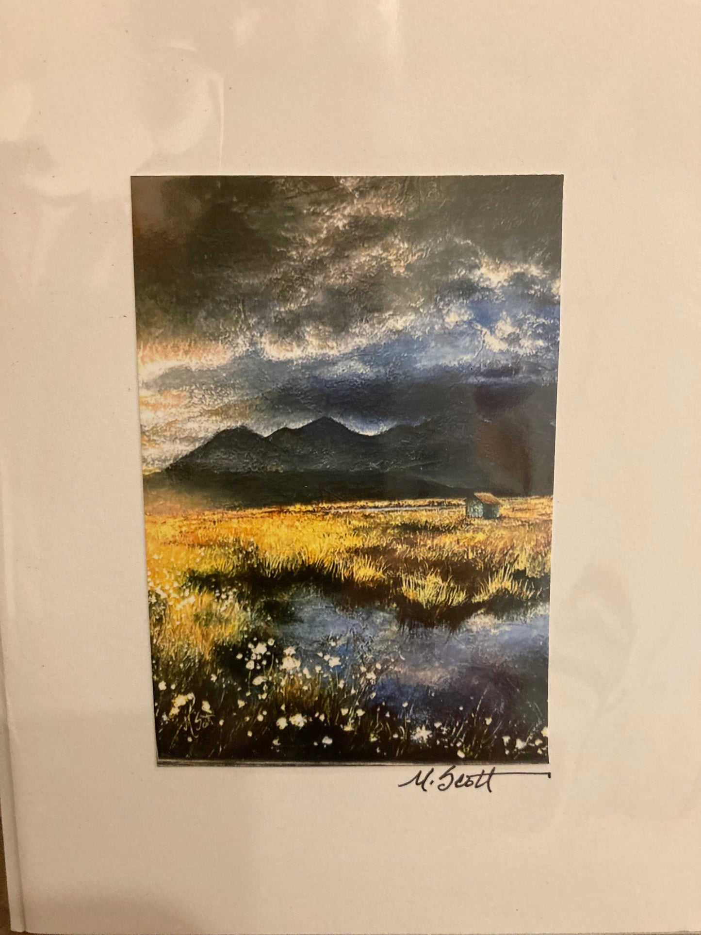 Marji Scott Greeting Cards