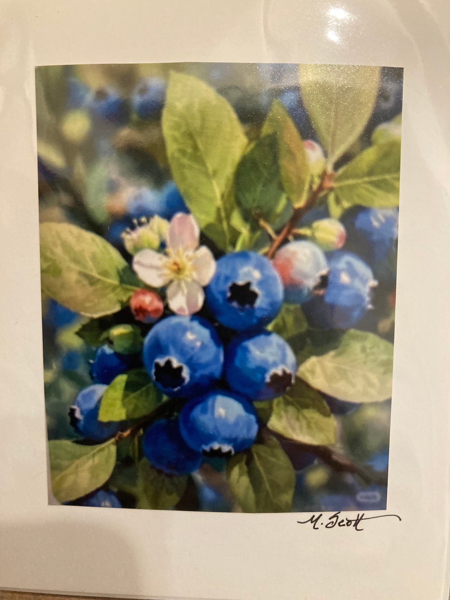 Marji Scott Greeting Cards