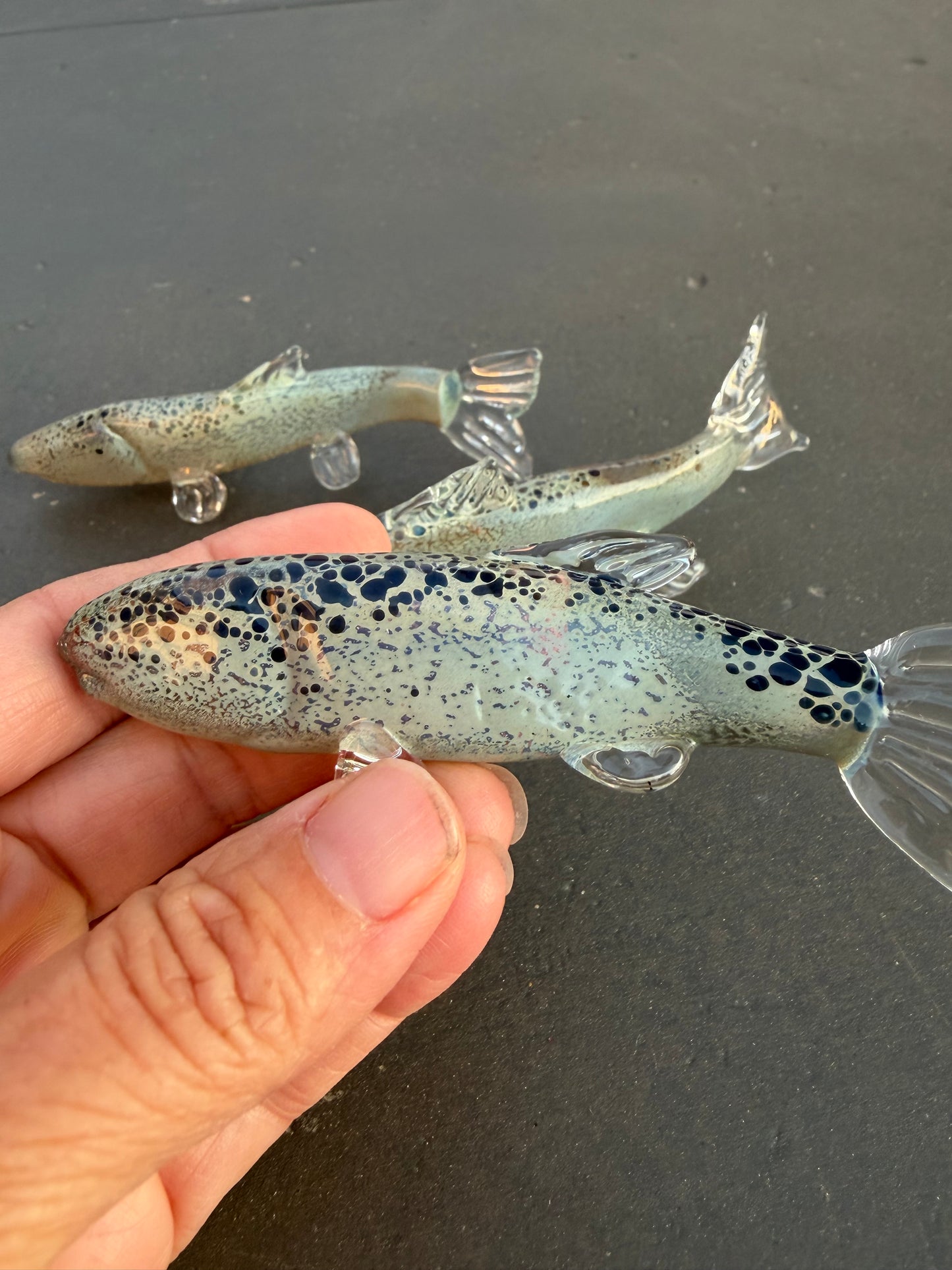 Glass Fish