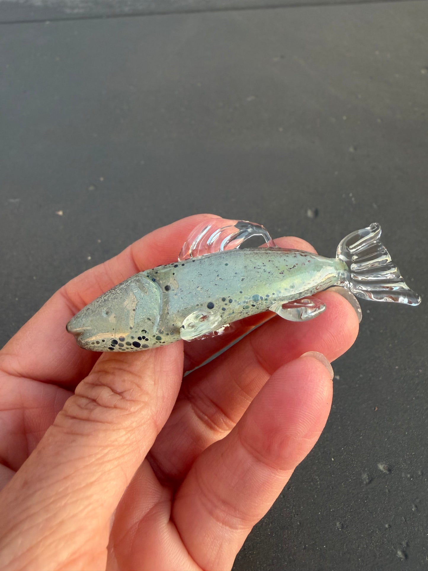 Glass Fish