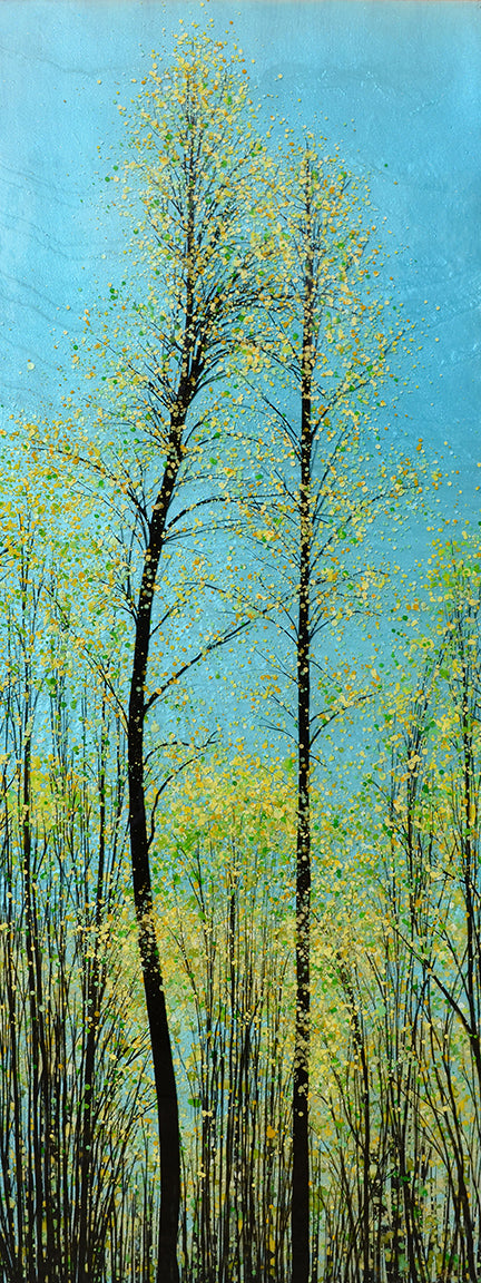 Hope Springs