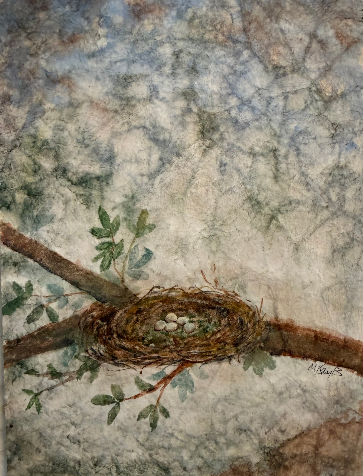 Birds Nest