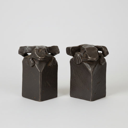 Bronze Frog on Square