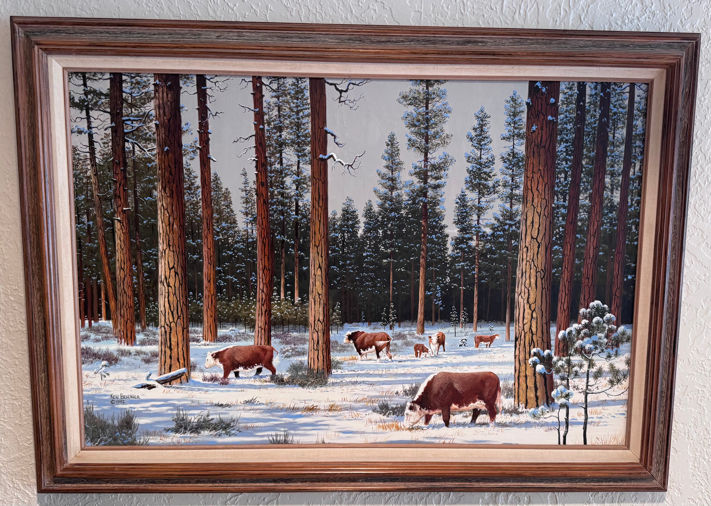 Cows in Snow