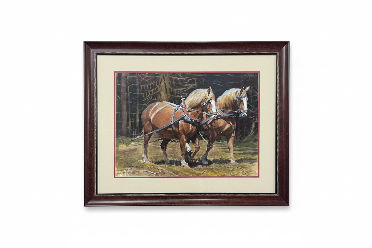 Clydesdales