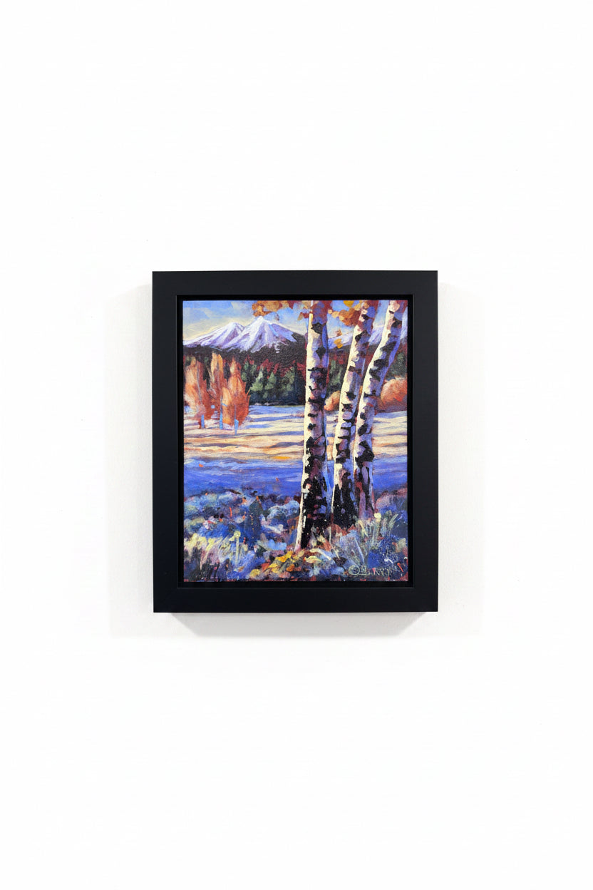 Shadow Land (Black Butte Ranch)