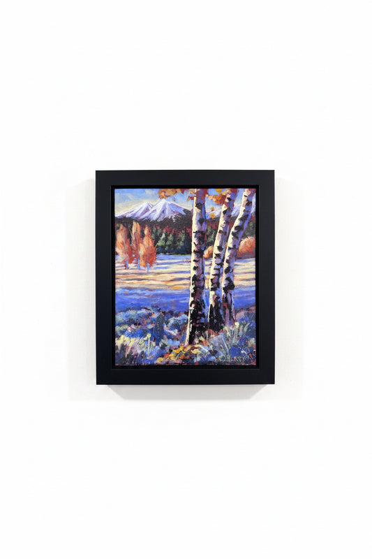 Shadow Land (Black Butte Ranch)