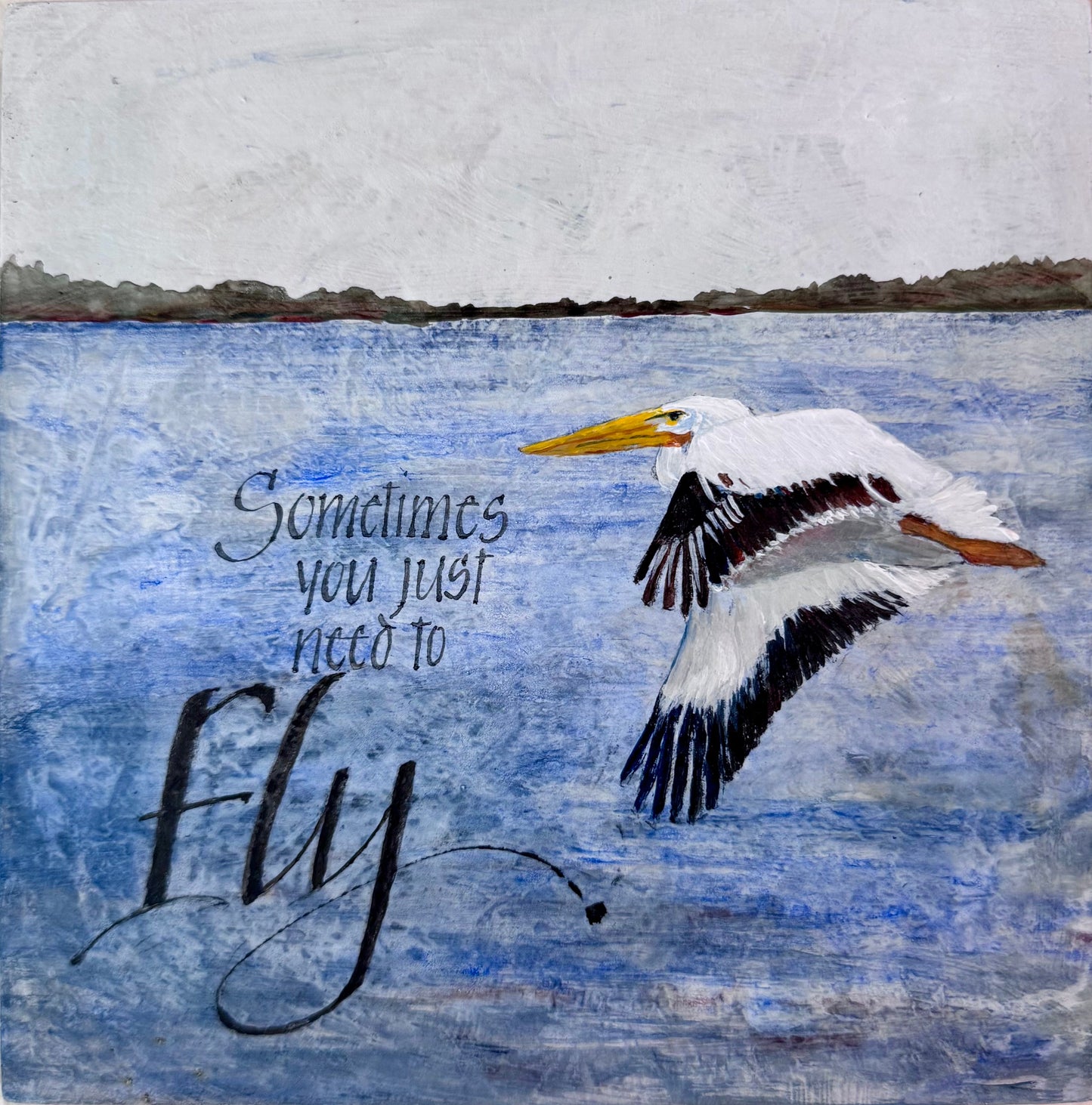 Fly