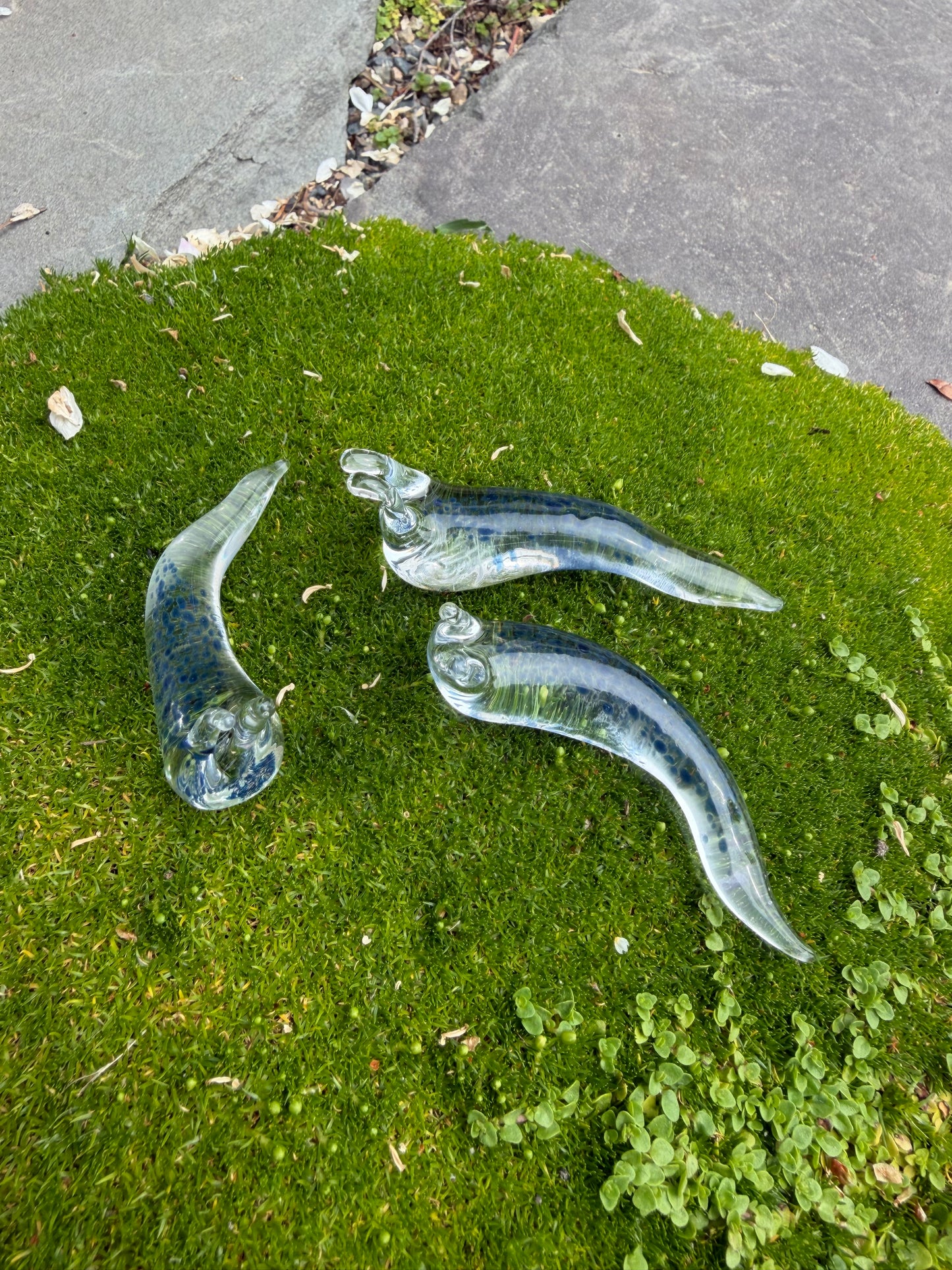Slugs