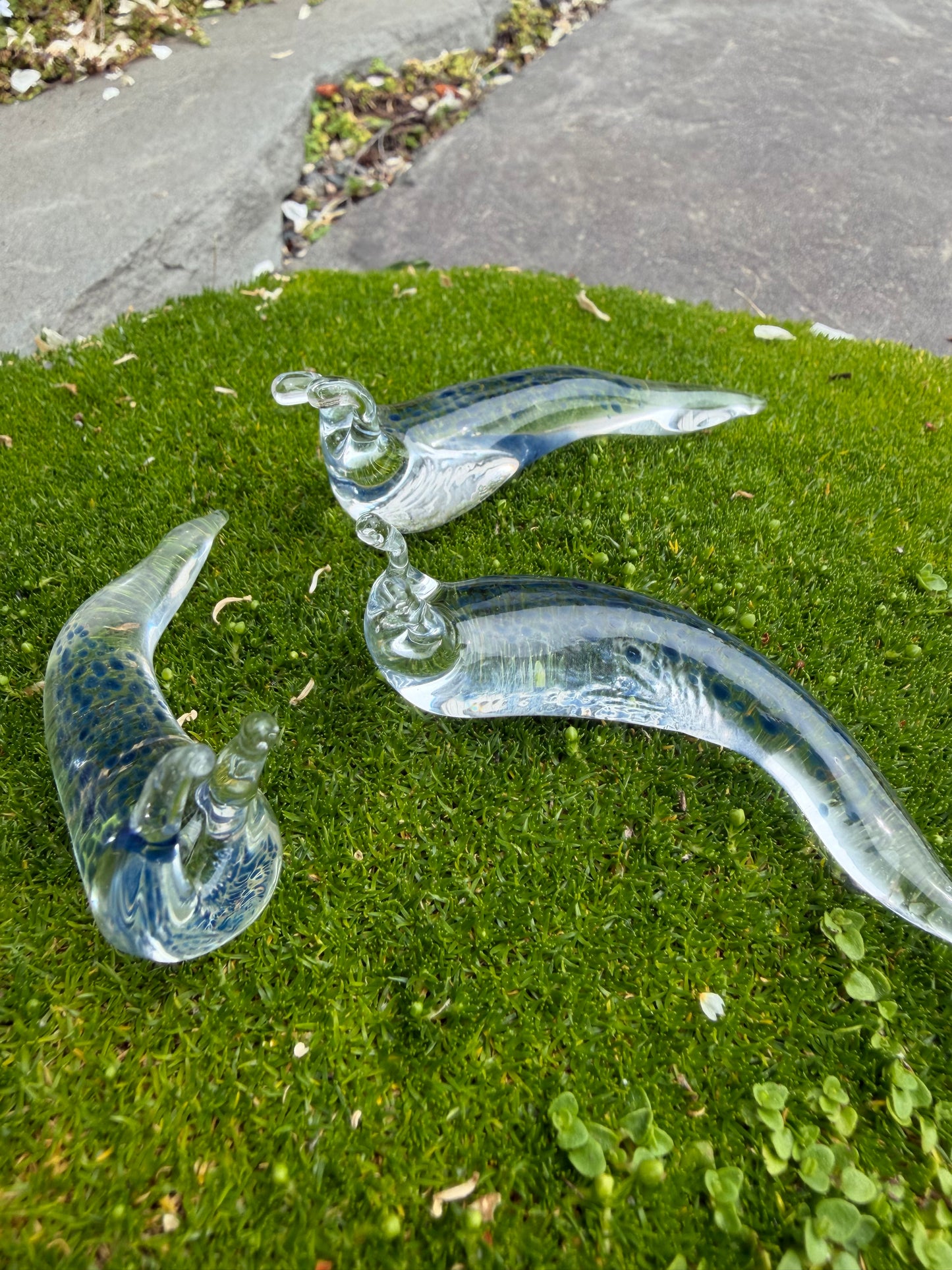Slugs