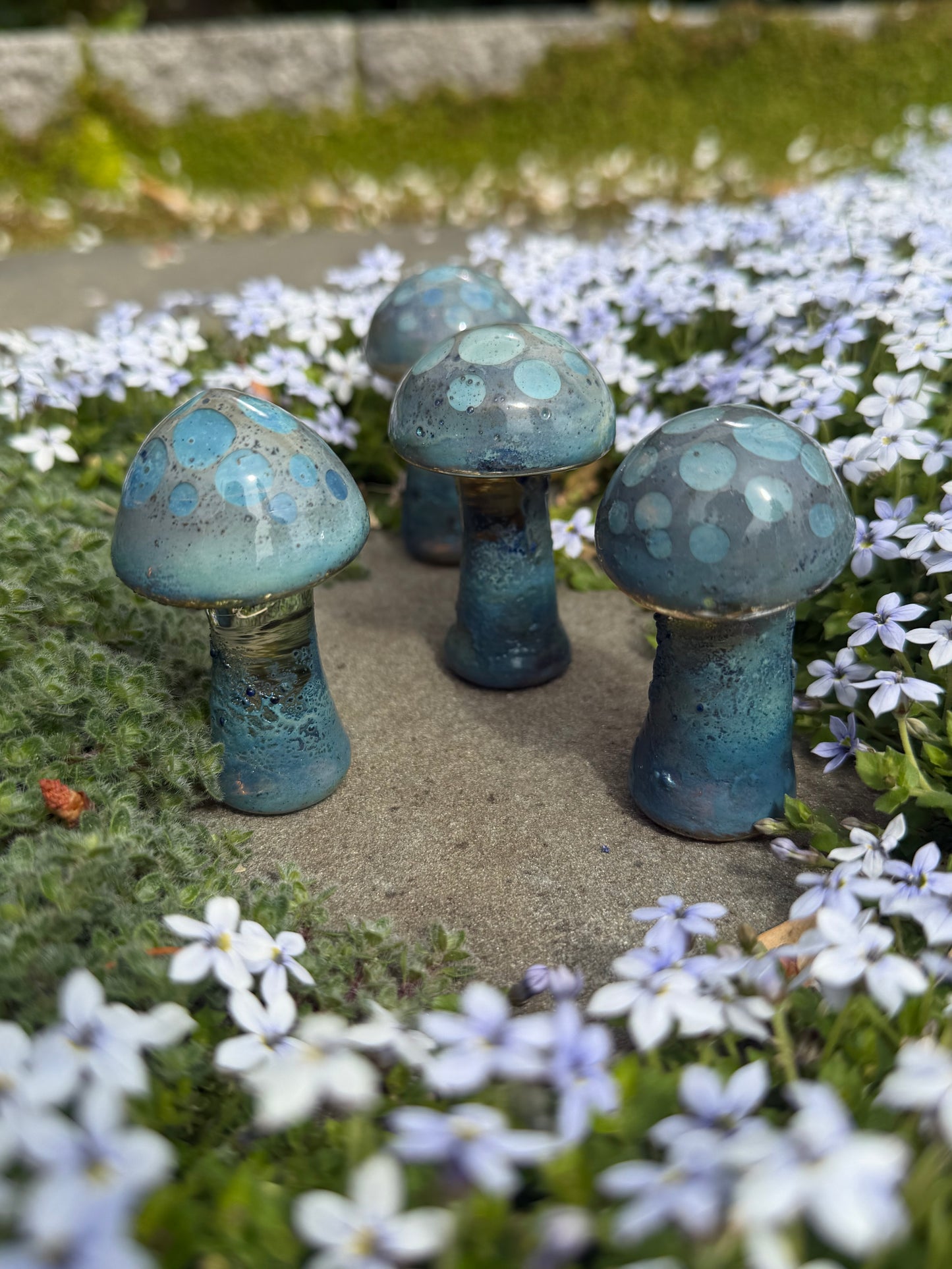 Button Mushroom