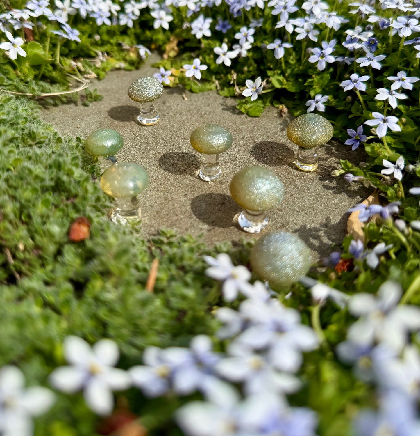 Tiny Mushrooms