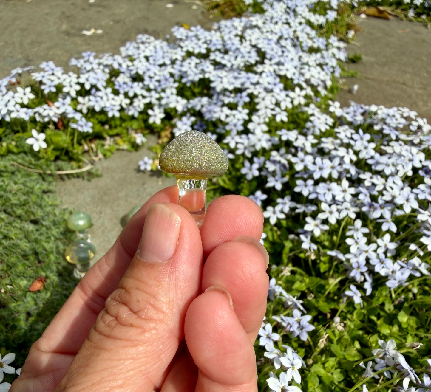 Tiny Mushrooms
