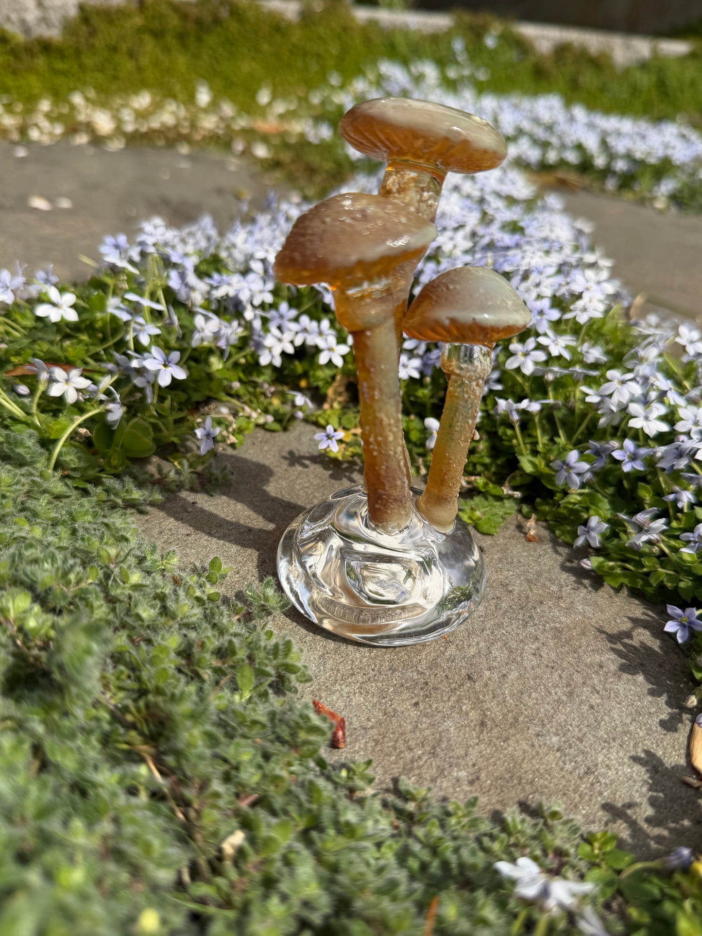 3 Mushroom on a Dome