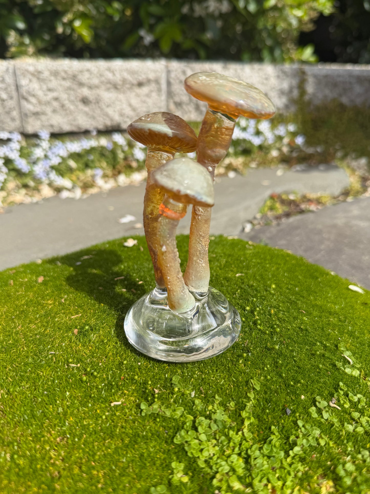3 Mushroom on a Dome