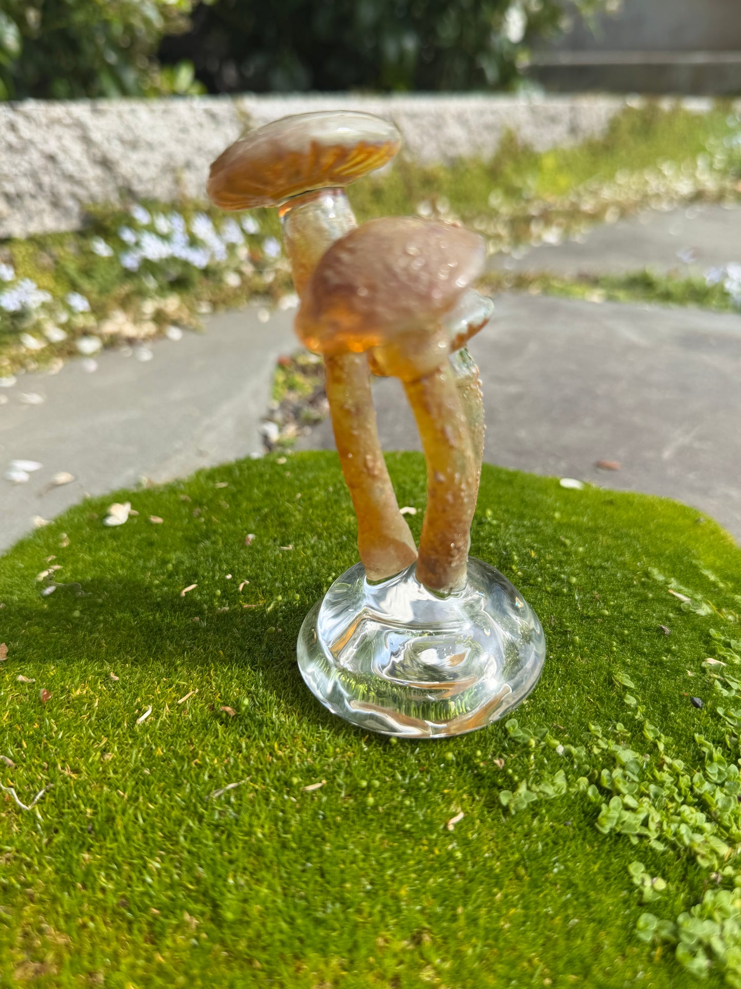 3 Mushroom on a Dome