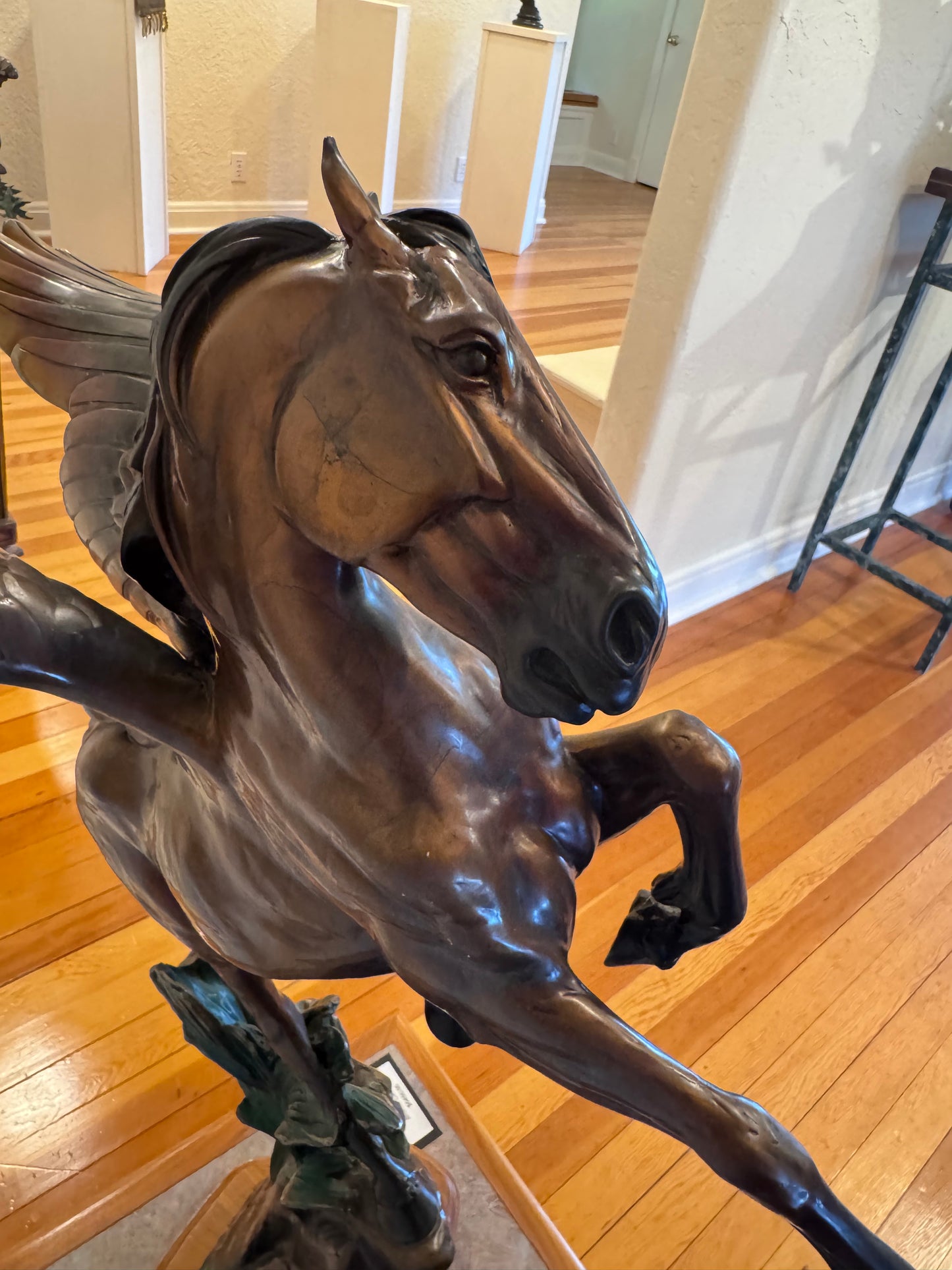 Pegasus