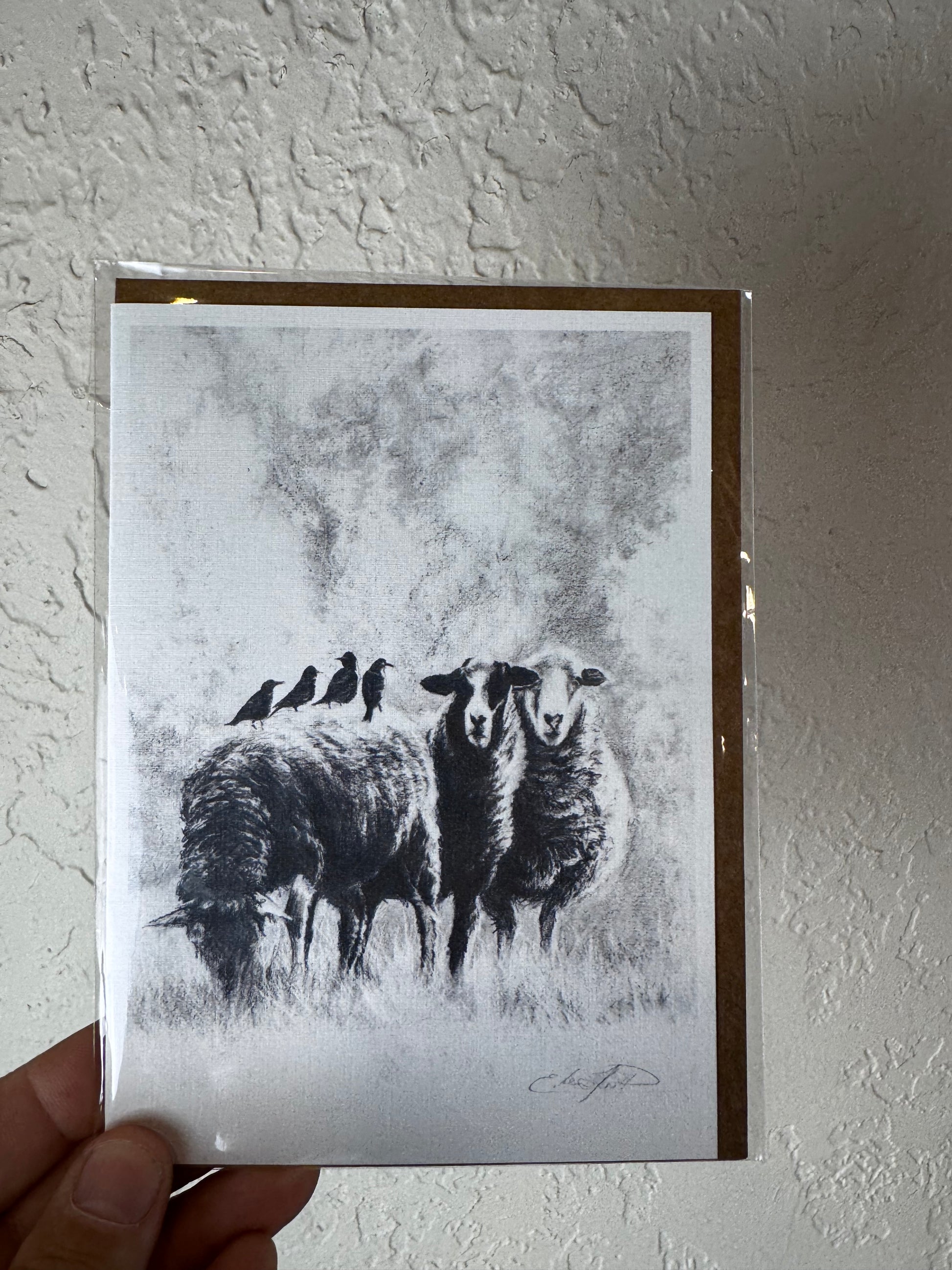 A hand holding a square art print or postcard featuring a black-and-white sketch of two sheep against a textured off-white wall.