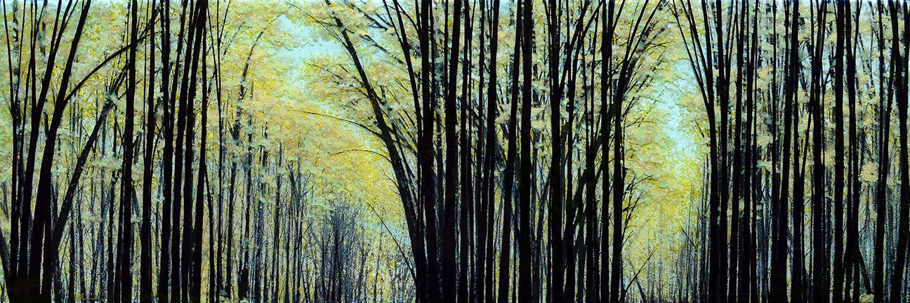 Into the Woods