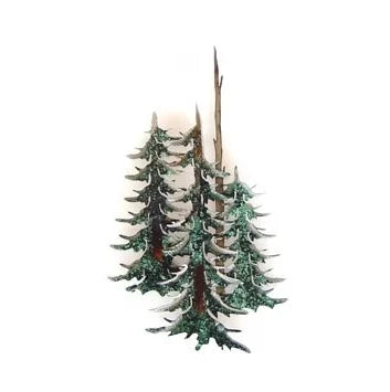 Mountain Meadows C