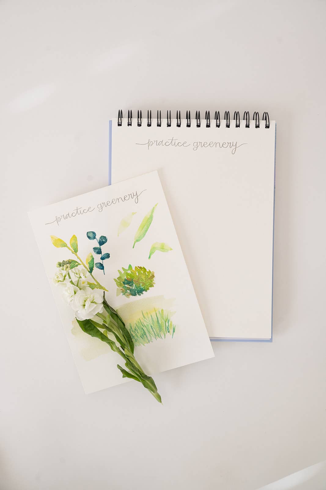 Landscape watercoloring book - outlines with video tutorials