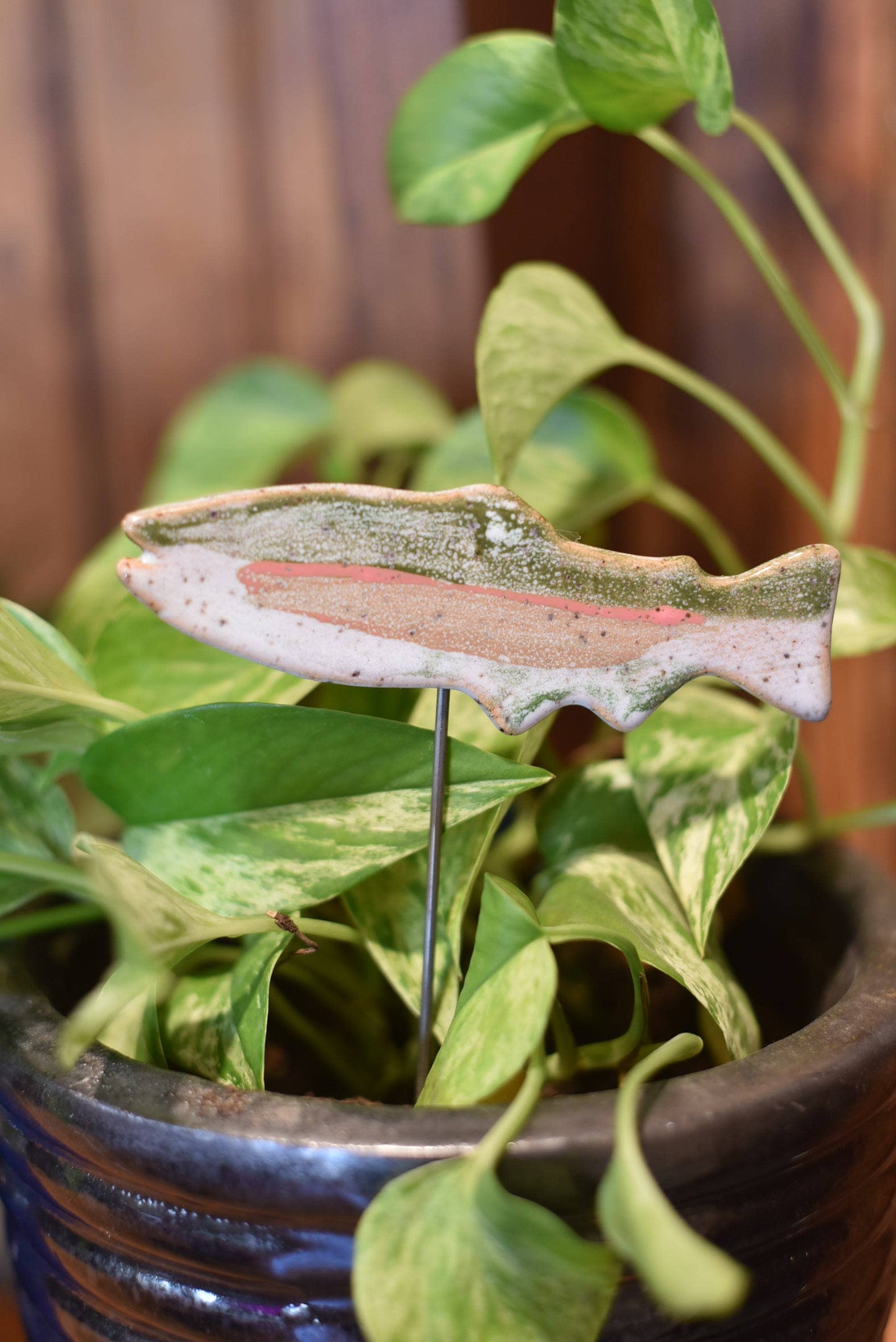 Plant Buddies - Fish